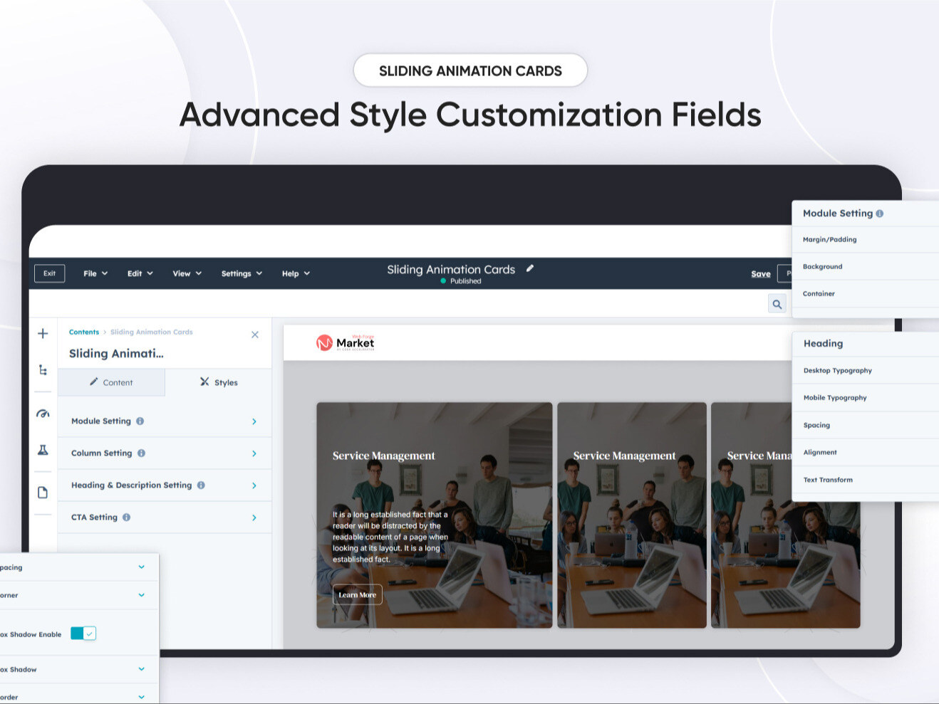 Advanced Style Customization Fields