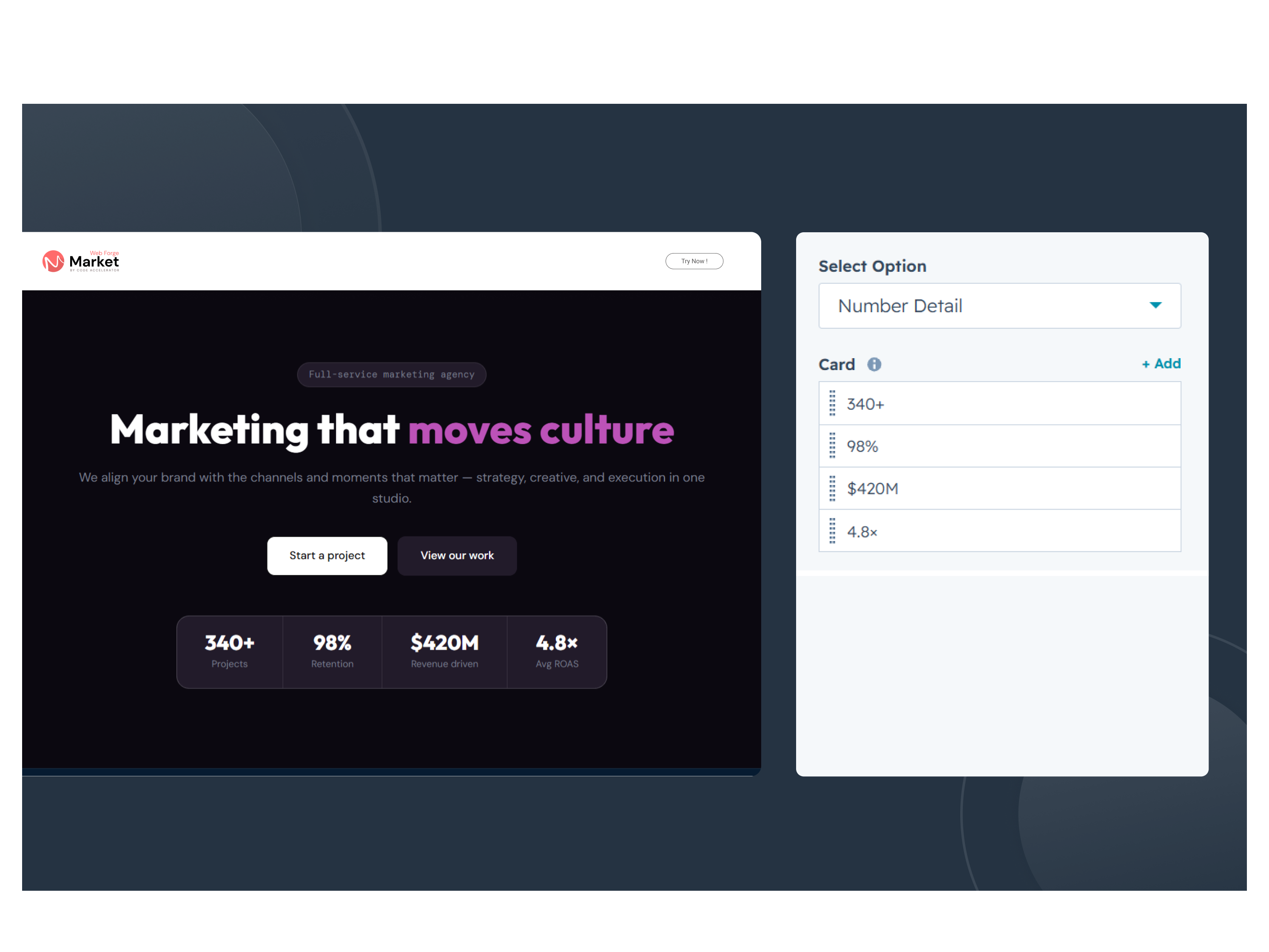 Company Information Showcase